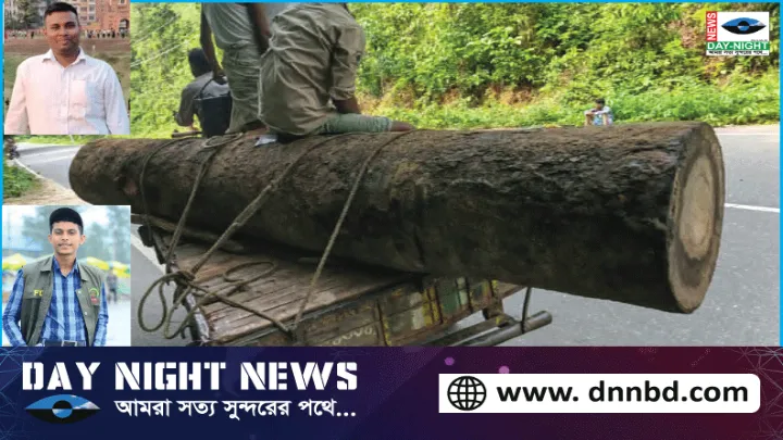 সিভিট গাছ,  কাটার অভিযোগ,  বন বিভাগের,  কর্মকর্তাদের,  সম্পৃক্ততার দাবি,  স্থানীয়দের